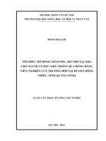 Tìm hiểu mô hình chăm sóc, hỗ trợ tại nhà cho người có HIV AIDS thông qua đồng đẳng viên ( nghiên cứu trường hợp tại huy