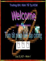 Bài thuyết trình tóm tắt pháp luật đại cương