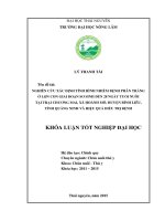 Nghiên cứu xác định tình hình nhiễm bệnh phân trắng ở lợn con giai đoạn sơ sinh đến 28 ngày tuổi nuôi tại trại lợn chương mai xã hoành mô – huyện bình liêu – t ỉnh quảng ninh và hiệu quả điều trị bệnh