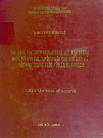 Luận văn thạc sĩ kinh tế  tác động của thương mại hàng dệt may trung quốc đối với thị trường dệt may thế giới và việt na