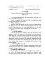 Kế hoạch kiểm tra, giám sát