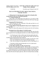 Báo cáo tình hình tổ chức phong trào thi đua trường mẫu giáo Vàng Anh