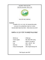 Nghiên cứu các yếu tố ảnh hưởng đến giá đất ở tại phường trưng vương , thành phố thái nguyên, tỉnh thái nguyên