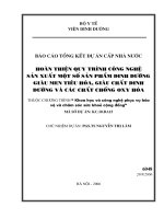 Báo cáo khoa học  hoàn thiện quy trình sản công nghệ sản xuất một số sản phẩm dinh dưỡng giàu men tiêu hóa, giàu chất di