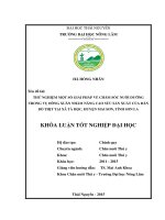 Thử nghiệm một số giải pháp về chăm sóc nuôi dưỡng trong vụ đông xuân nhằm nâng cao sức sản xuất của đàn bò thịt tại xã tà hộc, huyện mai sơn, tỉnh sơn la