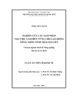 Luận án tiến sĩ kinh tế  nghiên cứu các giải pháp tạo việc làm bền vững cho lao động nông thôn tỉnh thái nguyên