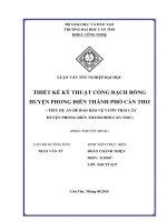 thiết kế kỹ thuật cống rạch rồng huyện phong điền thành phố cần thơ ( tiểu dự án đê bao bảo vệ vườn trái cây huyện phong điền thành phố cần thơ )