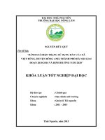 ĐÁNH GIÁ HIỆN TRẠNG sử DỤNG đất của xã VIỆT HÙNG, HUYỆN ĐÔNG ANH, THÀNH PHỐ hà nội GIAI đoạn 2010 2014 và ĐỊNH HƯỚNG năm 2020