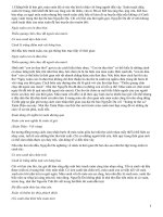 văn  bản cảnh ngày xuân ( trích truyen kieu)