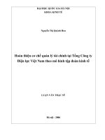 Hoàn thiện cơ chế quản lý tài chính tại tổng công ty điện lực việt nam theo mô hình tập đoàn kinh tế   luận văn ths kinh