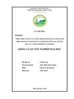 THỰC HIỆN CÔNG tác TỔNG, KIỂM kê đất ĐAI, lập bản đồ HIỆN TRẠNG sử DỤNG đất tại THỊ TRẤN yên lạc, HUYỆN yên lạc, TỈNH VĨNH PHÚC năm 2015