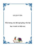 LUẬN văn   tiền lương của đội ngũ giảng viên đại học ở nước ta hiện nay