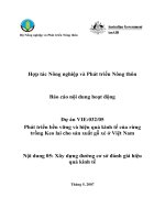 Báo cáo nghiên cứu nông nghiệp   phát triển bền vững và hiệu quả kinh tế của rừng trồng keo lai cho sản xuất gỗ xẻ ở việ