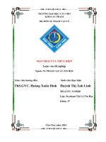 mặt trái của thủy điện 