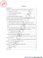 Thực trạng hoạt động của dịch vụ logistics của Việt nam trong điệu kiện hội nhập WTO