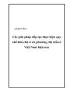 LUẬN văn   các giải pháp tiếp tục thực hiện quy chế dân chủ ở xã, phường, thị trấn ở việt nam hiện nay
