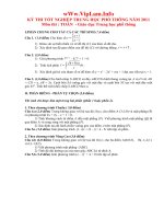 ĐÁP ÁN CHI TIẾT TOÁN TN THPT 2010 2011