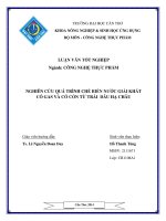 nghiên cứu quá trình chế biến nước giải khát có gas và có cồn từ trái dâu hạ châu 