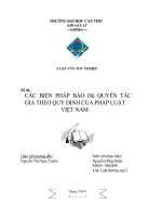các biện pháp bảo hộ quyền tác giả theo quy định của pháp luật việt nam 