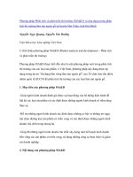 Nghiên cứu khoa học   phương pháp phân tích và phát triển thị trường (MAD) và ứng dụng trong phân tích thị trường lâm sả