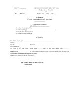 Mẫu quyết định bổ nhiệm tổng giám đốc công ty