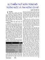 SỰ ô NHIỄM THỦY NGÂN TRONG môi TRƯỜNG nước và ẢNH HƯỞNG của nó 