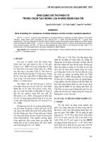 Báo cáo nghiên cứu khoa học công nghệ  ứng dụng chỉ thị phân tử trong chọn tạo giống lúa kháng bệnh đạo ôn 
