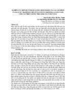 NGHIÊN cứu KHOA học   NGHIÊN cứu BIẾN dị về hàm LƯỢNG XENLULOSE của các GIA ĐÌNH và XUẤT xứ BẠCH đàn URÔ (EUCALYPTUS UROPHYLLA) làm cơ sở CHO cải THIỆN GIỐNG THEO HIỆU SUẤT bột GIẤY   