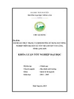 ĐÁNH GIÁ THỰC TRẠNG và ĐỊNH HƯỚNG sử DỤNG đất NÔNG NGHIỆP TRÊN địa bàn xã tân VIỆT, HUYỆN văn LÃNG, TỈNH LẠNG sơn