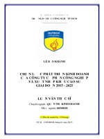 Chiến lược phát triển kinh doanh của công ty cổ phần công nghiệp và xuất nhập khẩu cao su giai đoạn 2015 2025 