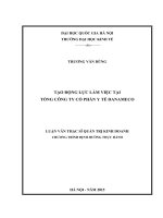 Tạo động lực làm việc tại tổng công ty cổ phần y tế danameco   luận văn ths  kinh doanh và quản lý  60 34 01 02 pdf