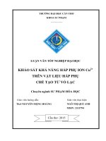 khảo sát khả năng hấp phụ ion cu2+ trên vật liệu hấp phụ chế tạo từ vỏ lạc 