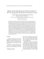 Báo cáo   nghiên cứu khả năng hấp thu một số kim loại nặng (cu2+, pb2+, zn2+) trong nước của nấm men saccharomyces cerevisiae   