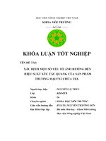 Xác định một số yếu tố ảnh hưởng đến hiệu suất xúc tác quang của sản phẩm thương mại FN2 chứa TiO2