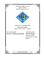 ánh sáng và cơ thể sống 