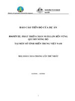 Báo cáo nghiên cứu nông nghiệp   PHÁT TRIỂN CHĂN NUÔI lợn bền VỮNG QUI mô NÔNG hộ  tại một số TỈNH MIỀN TRUNG VIỆT NAM