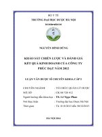 Khảo sát chiến lược và đánh giá kết quả kinh doanh của công ty phúc đạt năm 2012