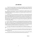 luận án kỹ thuật dệt may nghiên cứu sử dụng chitosan việt nam như chất kháng khuẩn cho vải bông