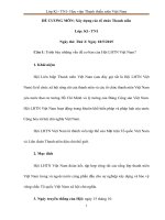 Đề cương xây dựng các tổ chức thanh niên