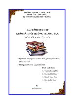 BÁO cáo KHẢO sát môi TRƯỜNG TRƯỜNG học