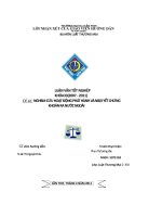 Nghiên cứu hoạt động phát hành và niêm yết chứng khoán ra nước ngoài 