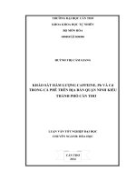 khảo sát hàm lượng caffeine, pb và cd trong cà phê trên địa bàn quận ninh kiều thành phố cần thơ