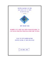 nghiên cứu chế tạo viên paracetamol vi cầu bằng phương pháp bay hơi nhũ tương 