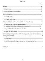 Bình luận các nguyên tắc bảo hộ của công ước Berne 1986 về bảo hộ quyền tác giả