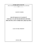 Chuyển dịch cơ cấu kinh tế ở huyện cần giờ thành phố hồ chí minh theo hướng công nghiệp hoá, hiện đại hoá pdf