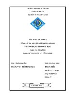 tìm hiểu về spect (chụp cắt lớp máy tính phát xạ đơn photon) và ứng dụng trong y học 