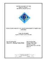 năng lượng mới từ các nguồn sinh khối và nhiên liệu sinh học 