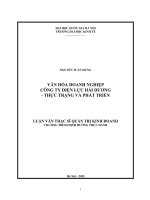 Văn hóa doanh nghiệp công ty điện lực hải dương   thực trạng và phát triển   luận văn ths  kinh doanh và quản lý  60 34 05 pdf