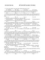 de thi thu ĐH co ĐA