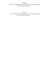 Đánh giá cuối năm. Cac phu luc cong van 660 BGD